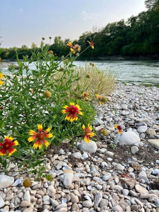The River Haven - Sleeps 32 - On Guadalupe River Seguin Eksteriør billede
